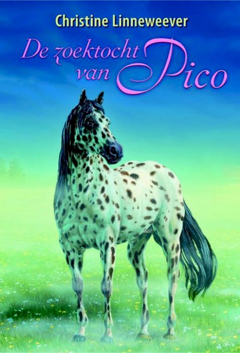 9789020622225 - Gouden Paarden 2 - De zoektocht van Pico