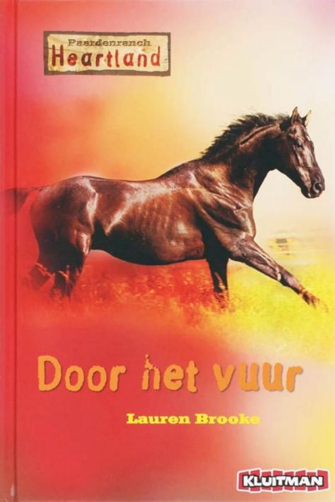 9789020632378 - Door het vuur