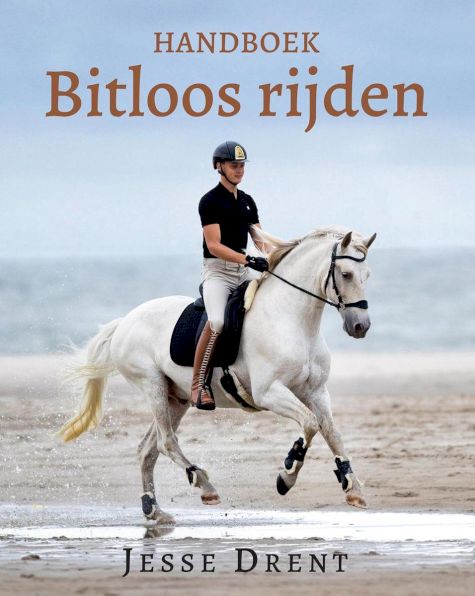 9789020622379 - Handboek bitloos rijden