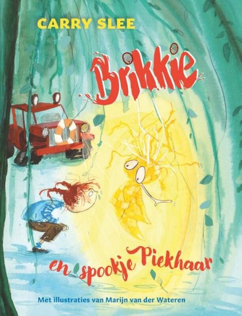9789020663624 - Brikkie - Brikkie en spookje Piekhaar